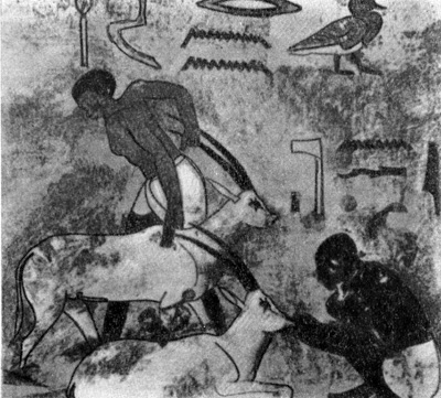Гробница Хнумхотепа в Бени-Хасане. Фрагмент росписи: кормление газелей