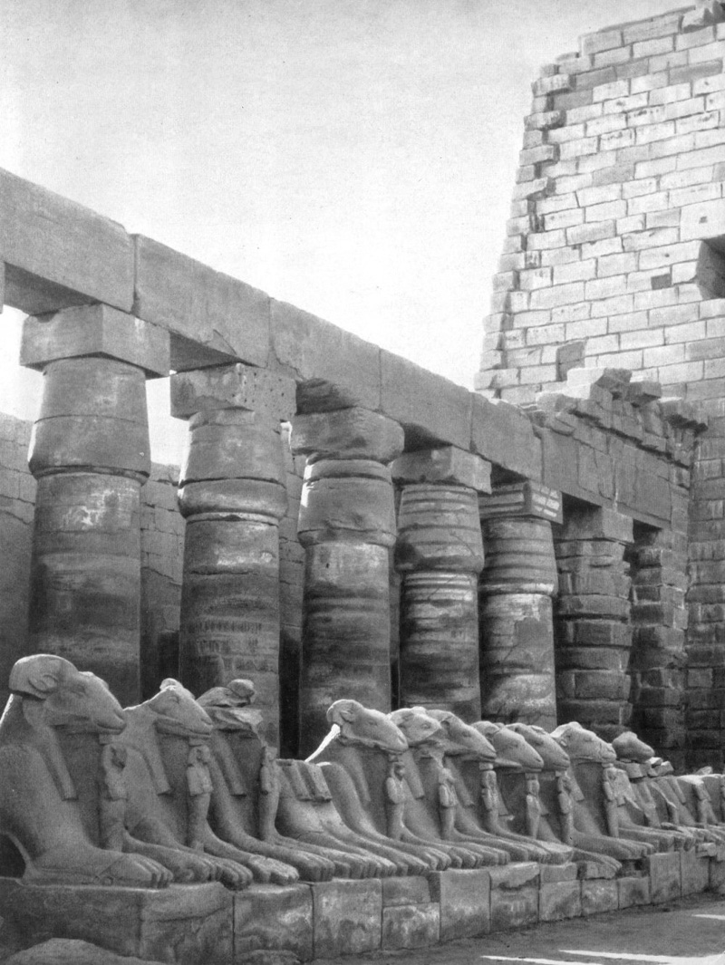 Храм Амона в Карнаке. Новое царство. Аллея овнов